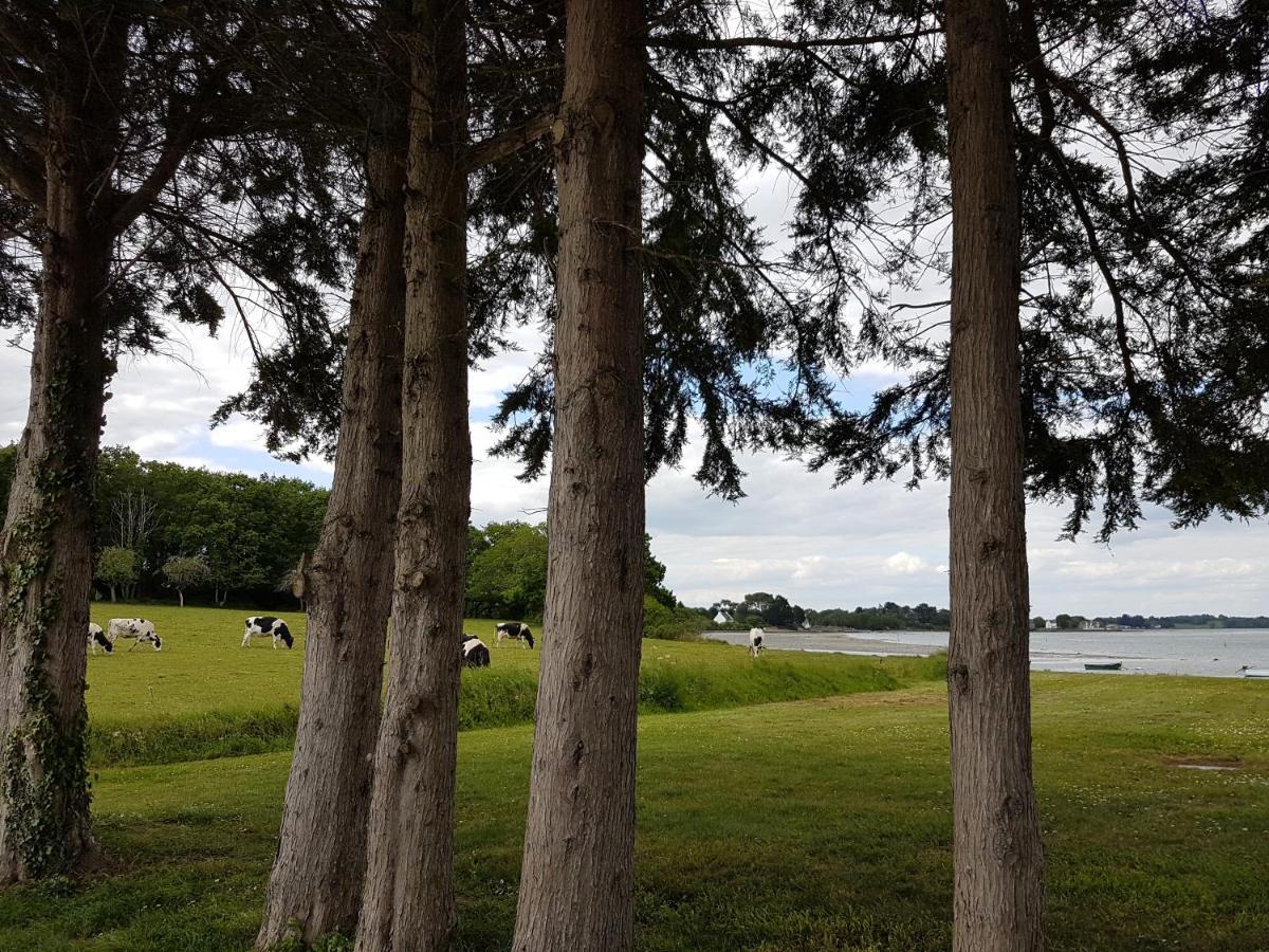 L'Arbre Voyageur Hotel Locoal-Mendon Luaran gambar